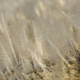 Illustration for article titled Wind and water can build up ice feathers